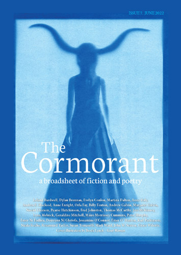The Cormorant Issue 7